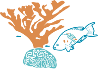 MesoReef